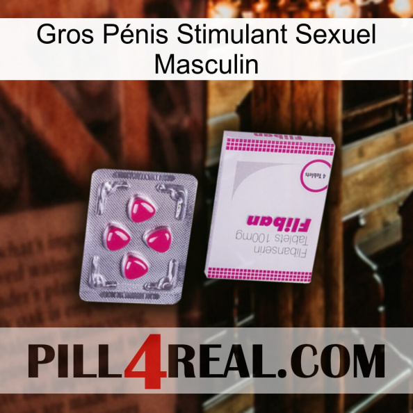 Gros Pénis Stimulant Sexuel Masculin 32.jpg